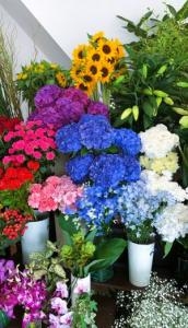 e5a48fe381aee88ab1-2