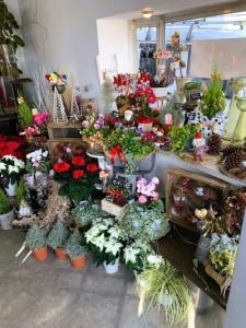 クリスマス｜「フラワーカンパニー」　（愛媛県松山市の花キューピット加盟店 花屋）のブログ