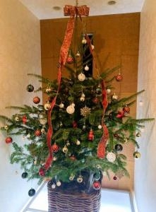 クリスマスツリー｜「フラワーカンパニー」　（愛媛県松山市の花キューピット加盟店 花屋）のブログ