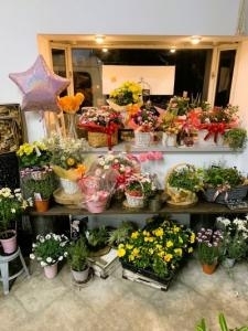 SPRING｜「フラワーカンパニー」　（愛媛県松山市の花キューピット加盟店 花屋）のブログ
